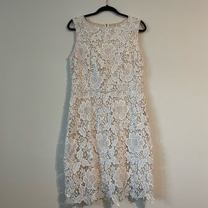 Loft Lace Dress